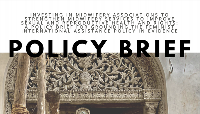 Policy brief: Investing in midwifery associations