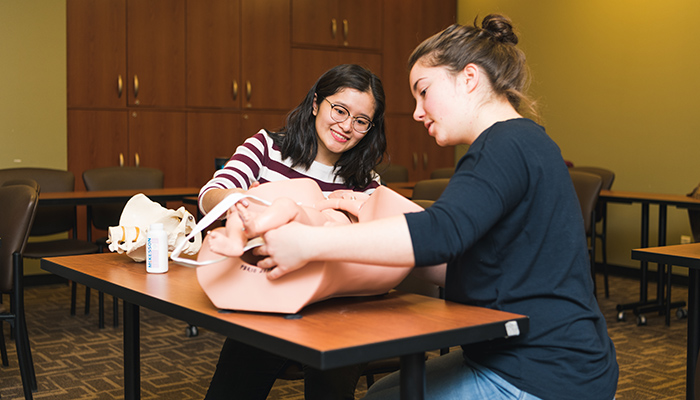 midwifery students learning in a classroom